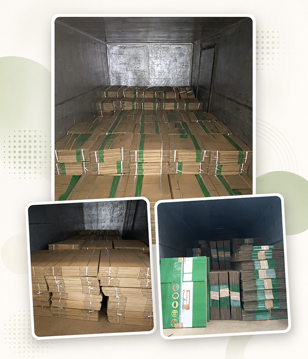 Sản xuất thùng carton giá rẻ