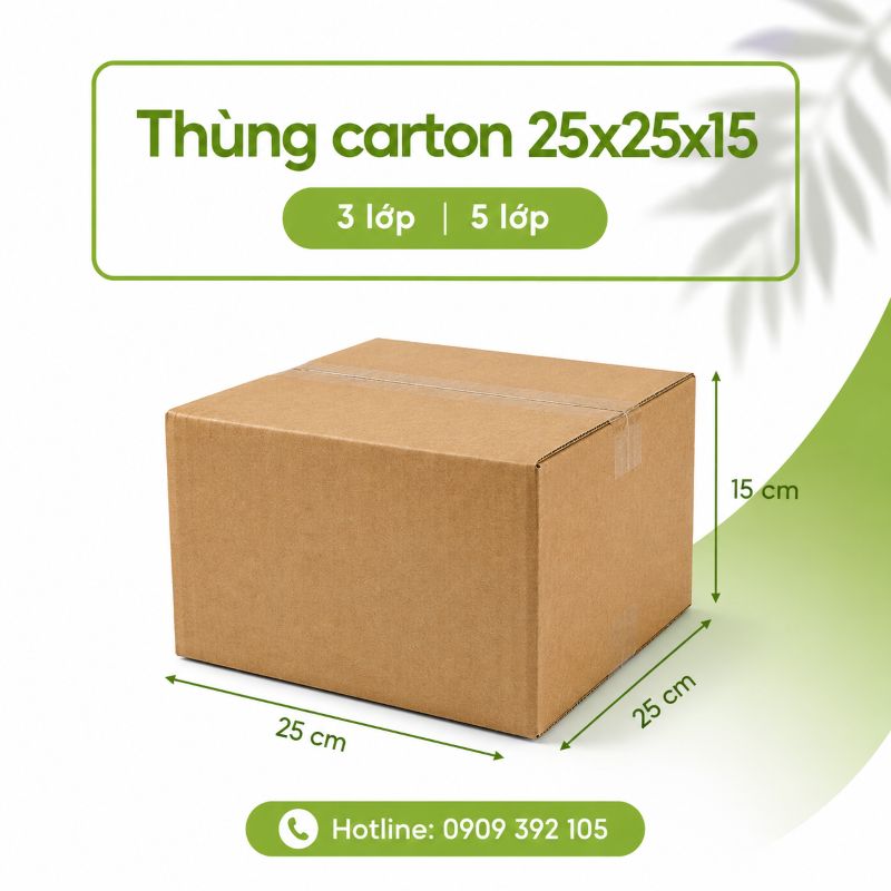 Thùng carton 25x25x10 3 lớp 5 lớp TPHCM