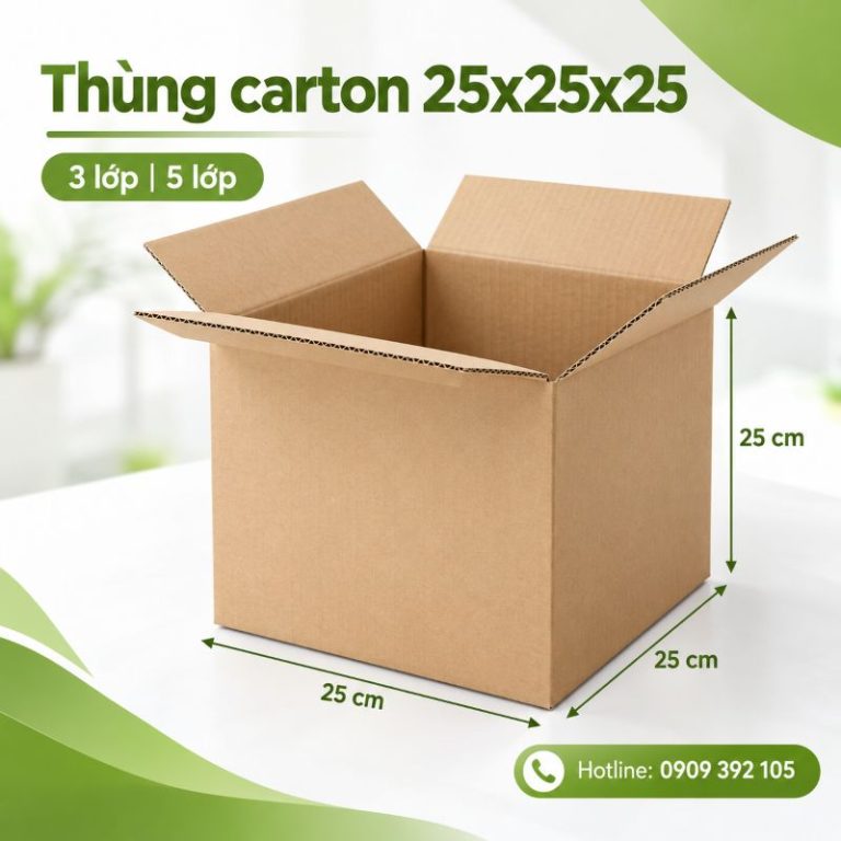 Thùng carton 25x25x25 3 lớp 5 lớp TPHCM