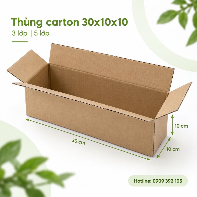 Thùng carton 30x10x10 3 lớp 5 lớp TPHCM