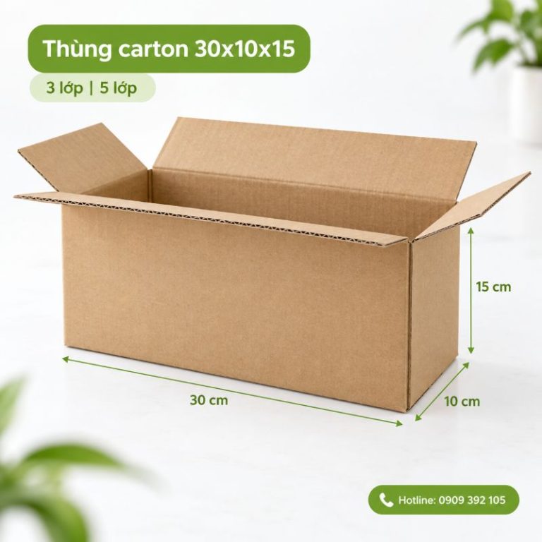 Thùng carton 30x10x15 3 lớp 5 lớp TPHCM