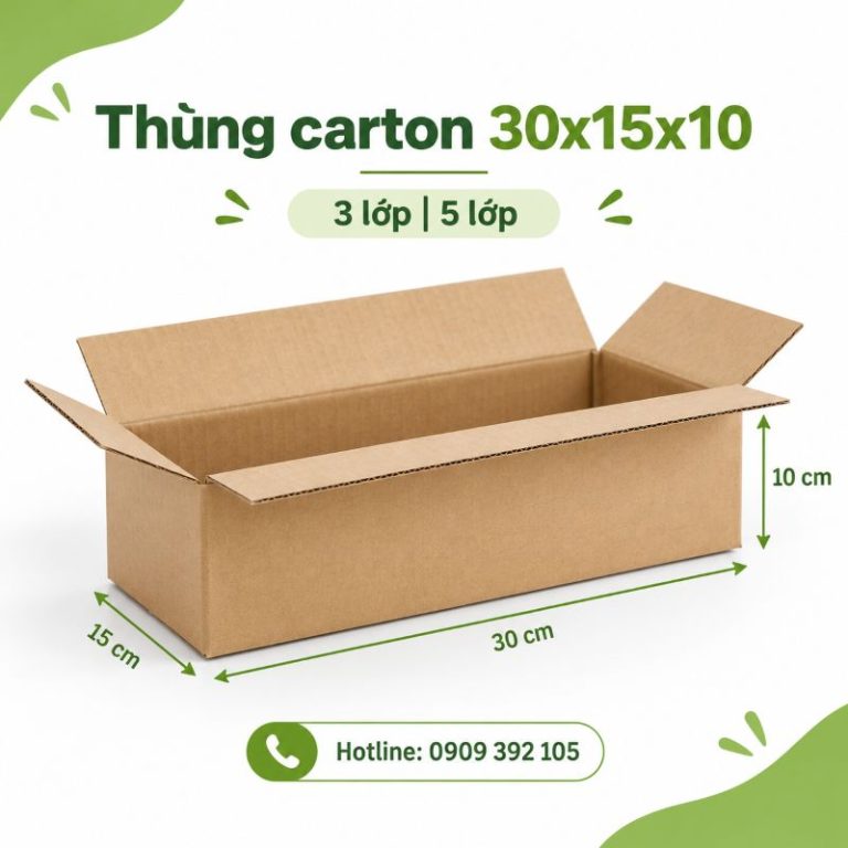 Thùng carton 30x15x10 3 lớp 5 lớp TPHCM