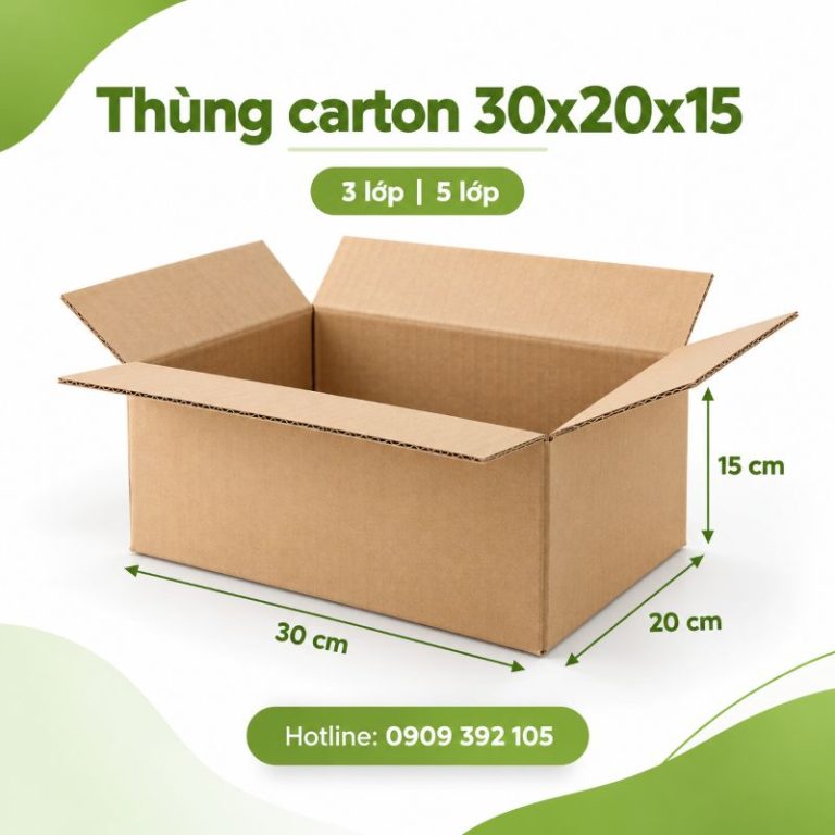 Thùng carton 30x20x15 3 lớp 5 lớp TPHCM