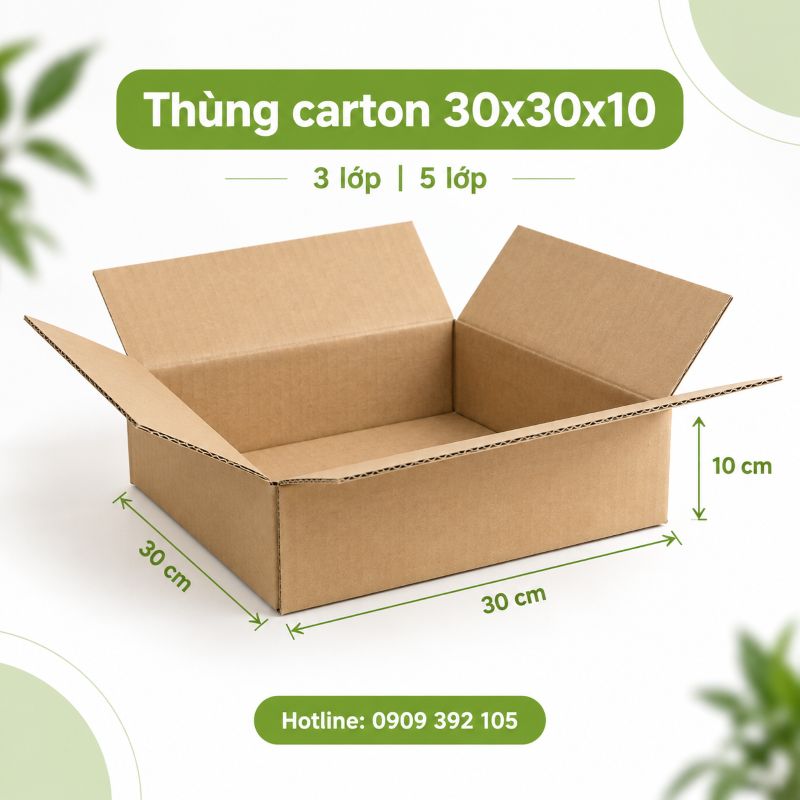Thùng carton 30x30x10 3 lớp 5 lớp TPHCM