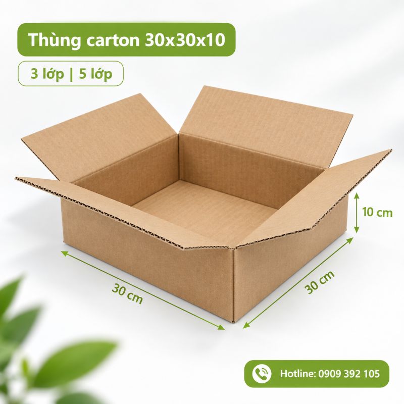 Thùng carton 30x30x10 3 lớp 5 lớp TPHCM