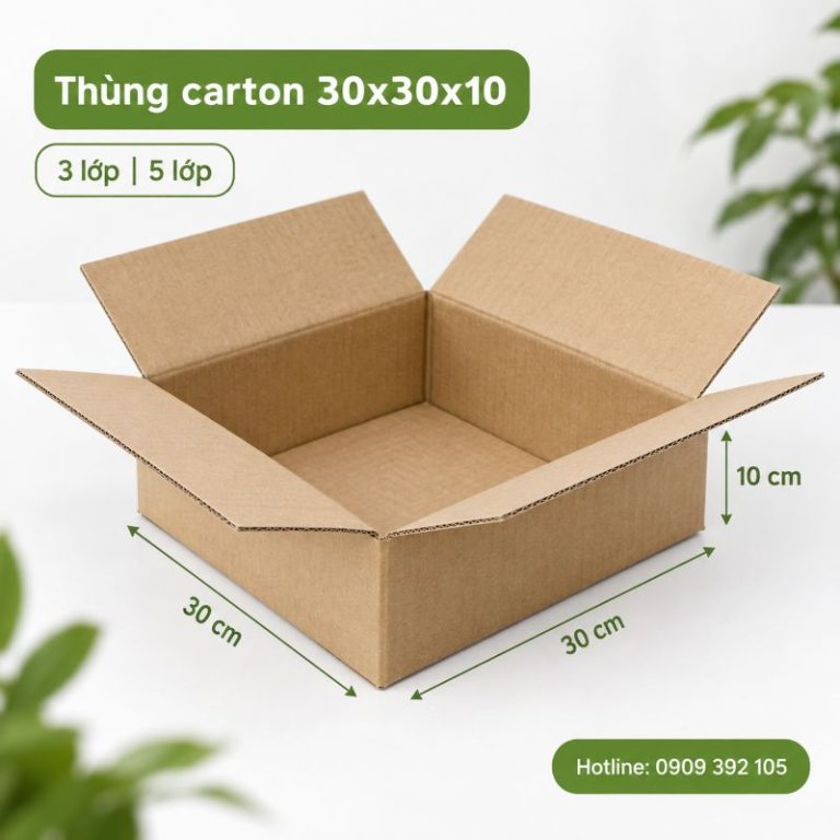 Thùng carton 30x30x10 3 lớp 5 lớp TPHCM