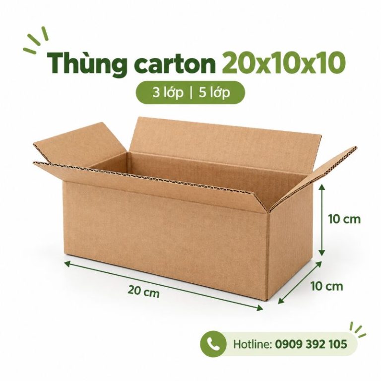 Thùng carton 20x10x10 3 lớp 5 lớp TPHCM
