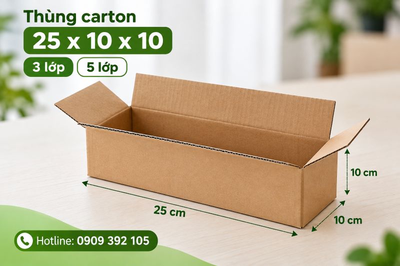 Thùng carton 25x10x10 3 lớp 5 lớp TPHCM