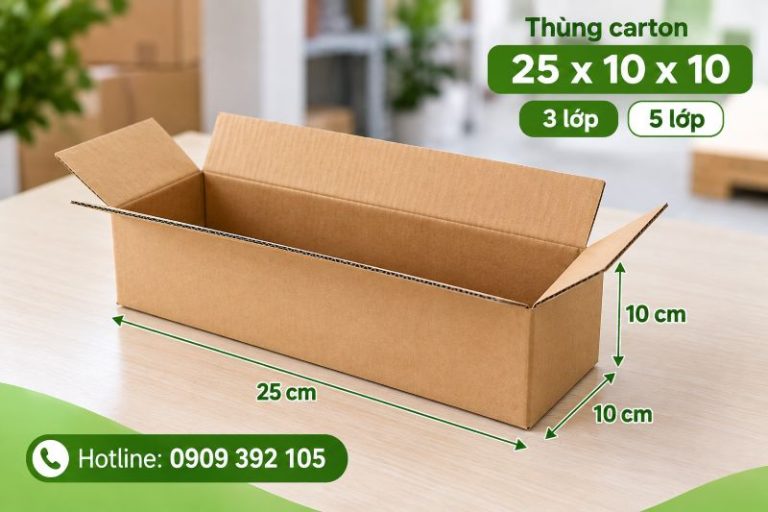 Thùng carton 25x10x10 3 lớp 5 lớp TPHCM