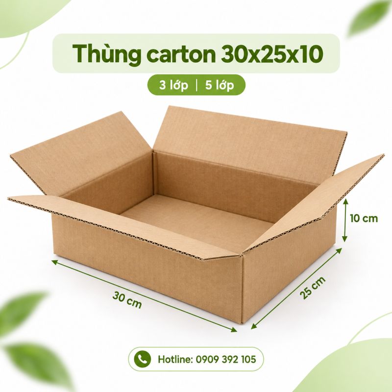 Thùng carton 30x25x10 3 lớp 5 lớp TPHCM
