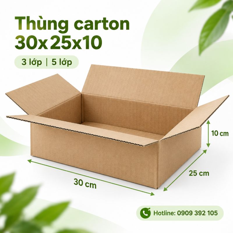 Thùng carton 30x25x10 3 lớp 5 lớp TPHCM