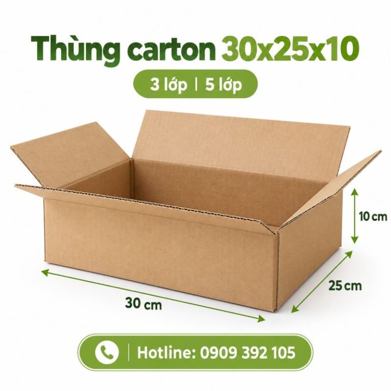 Thùng carton 30x25x10 3 lớp 5 lớp TPHCM