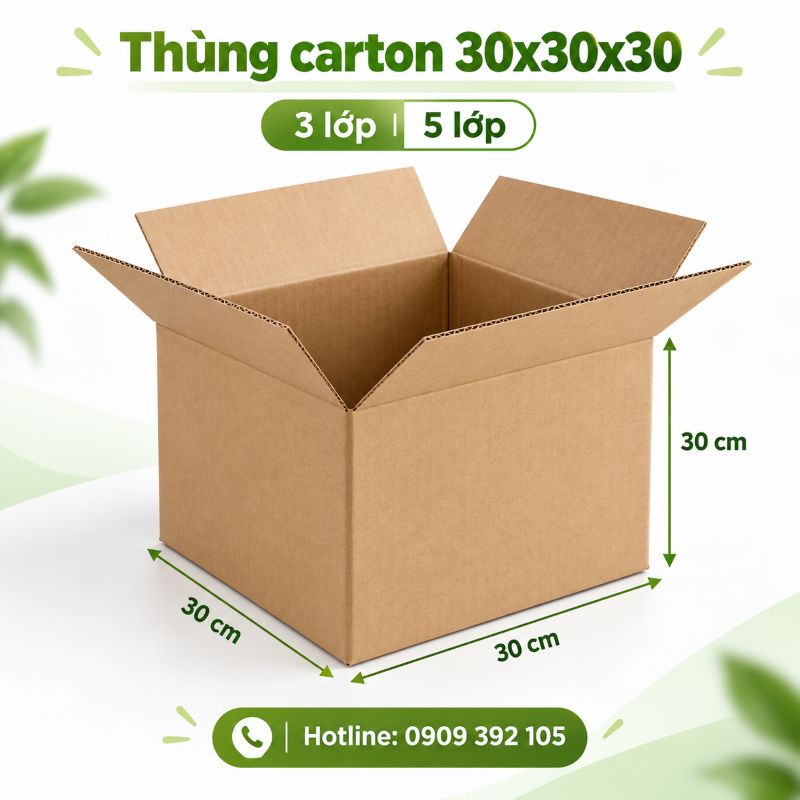 Thùng carton 30x30x30 3 lớp 5 lớp TPHCM